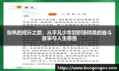 NG体育官网